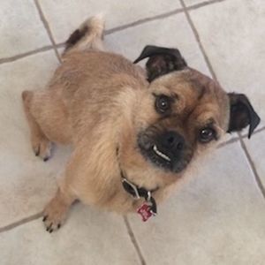 Meet your Posher, Julierae